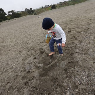 Young Boy Building Sandcastles on Foggy Beach