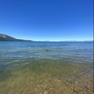 Serene Lake Tahoe with Majestic Mountains