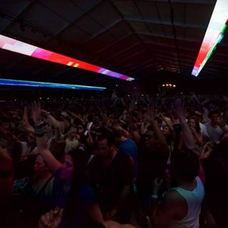 Coachella 2012 Concert Crowd Goes Wild