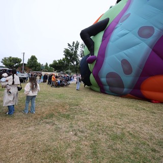 Giant Balloon Inflates at Sonoma County Festival