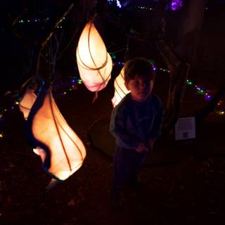 Enchanted Evening at the Garden of D'Lights
