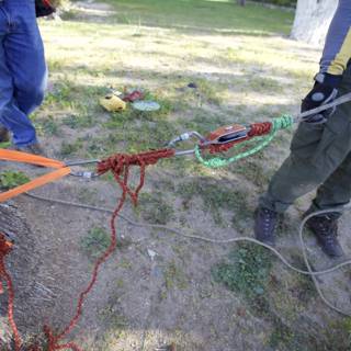 Rope tethering to tree