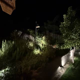Nocturnal Garden Glow