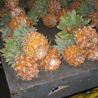 Pineapple Feast