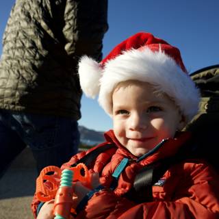 Santa's Little Helper in Skyela SF View, 2023!