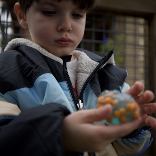 Young Boy Examining Small Toy Dinosaur Outdoors