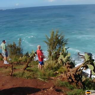 Cliffside view of the Pacific Ocean