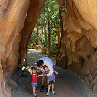 Magical Adventure Through Nature's Archway