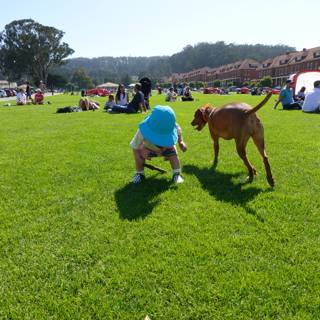 A Moment of Innocence: A Child's Play Date with a Dog in the Park