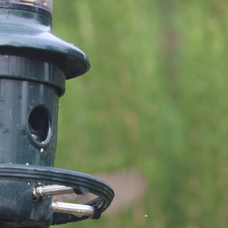 Green Tube Bird Feeder in Natural Garden Setting