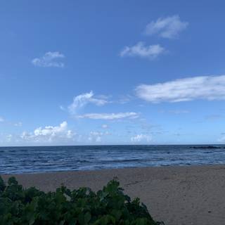 Azure Sky over Pūpūkea Beach