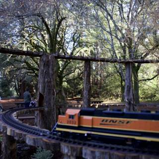 Woodland Express
