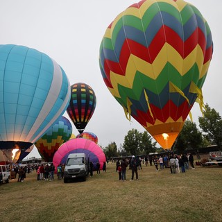 Colorful Hot Air Balloons Launch at Sonoma County Classic