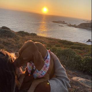 Sunset Serenity with Woman and Pup