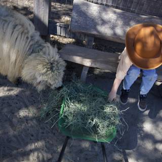 Little Rancher’s Day Out