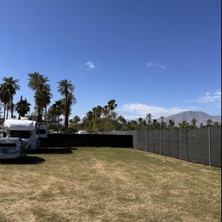 Sunlit Oasis: Vehicles Amid Coachella's Palms