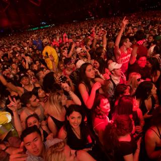 Concert-goers raise the roof at Coachella 2016