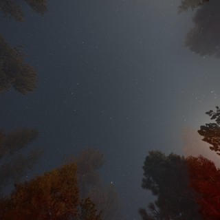 Moon Trail Light Painting Over Lassen Forest Night Sky