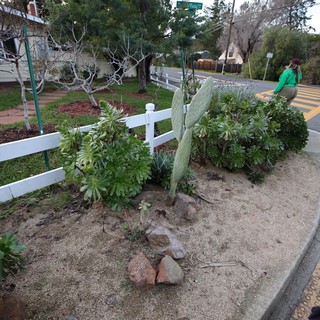 residential street corner