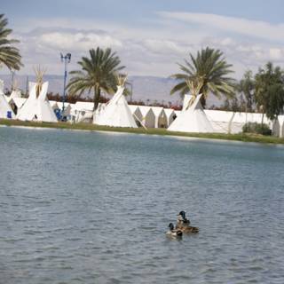Duck in a Summer Lake by the Tents