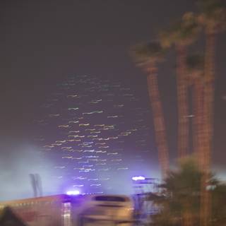 Palm Tree City Glow