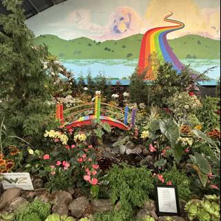 Colorful Oasis in Santa Rosa