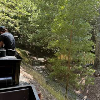 Journey Through the Grove