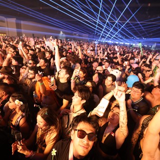 Massive Crowd Erupts Under Laser Light Show at Wobbleland