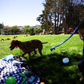 Summer Funday at Delores Park