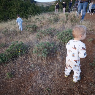 Toddler Explores Wild Hillside at Mount Diablo