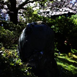 Timeless Tribute in the Japanese Tea Garden