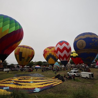 Colorful Hot Air Balloons Rise at Dawn Festival