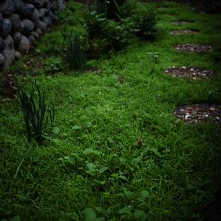 Serene Garden Walkway