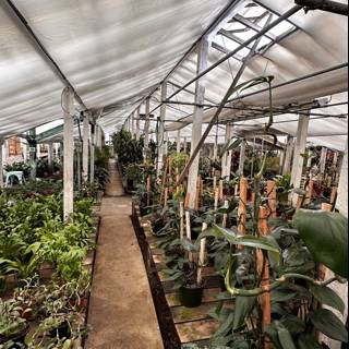 The Flourishing Greenhouse