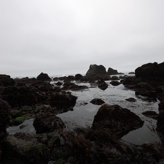 Moody Low Tide Reveals Ancient Rocky Coastal Pools