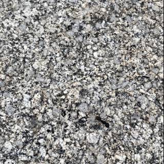 Granite Textures in Desolation Wilderness