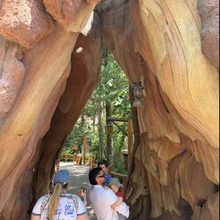 Wandering Through Natural Wonders