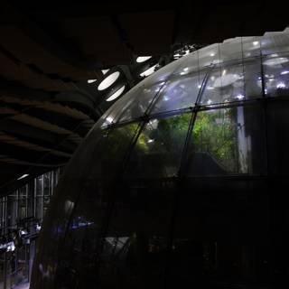 The Living Dome at California Academy of Sciences