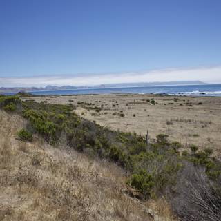 Coastal Serenity
