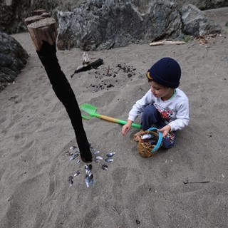 Young Explorer Collecting Shells on a Rocky Beach