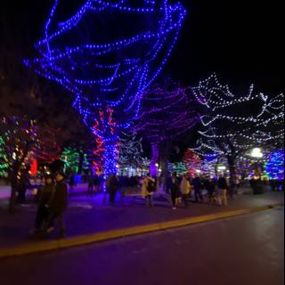 Illuminated Night Walk in Santa Fe Plaza