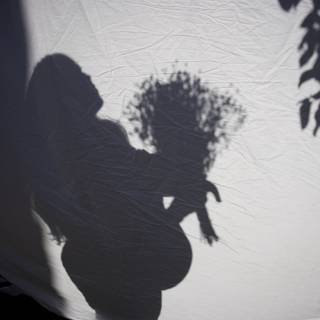 Pregnant Silhouette with Blossoms