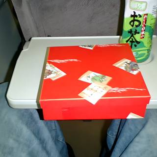 Chinese takeout on a train
