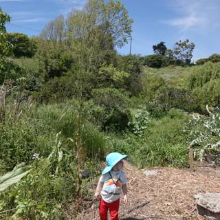 Little Explorer in the Garden