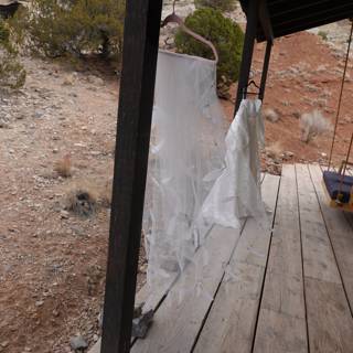 A Bride's Oasis in the Desert