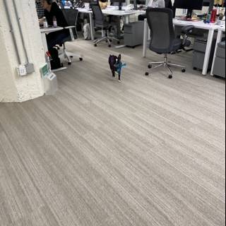 Furry Employee on the Move