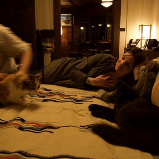 cats-on-bed