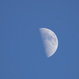 First Quarter Moon Rising Over Yosemite Twilight Sky