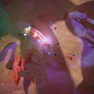 Translucent Mechanical Shrimp in Ethereal Dreamscape