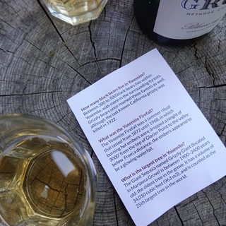 Wine Trivia on Weathered Tree Stump